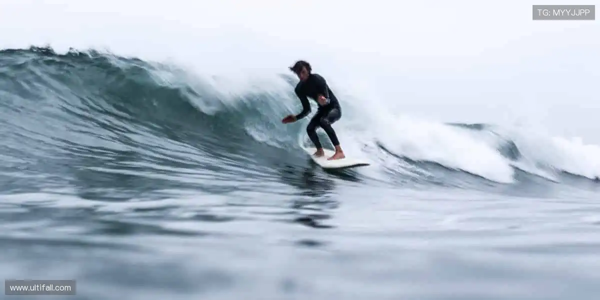 🎯球迷专属，正品周边一键直达！👕